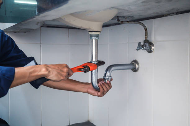 Best Local Plumber Services  in Tawas City, MI